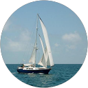 Clara Piana profile picture